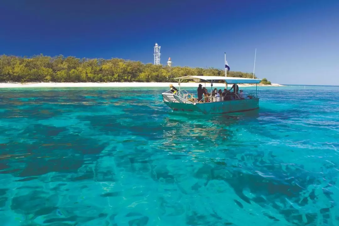 Lady Elliot Island Great Barrier Reef Tour from Brisbane