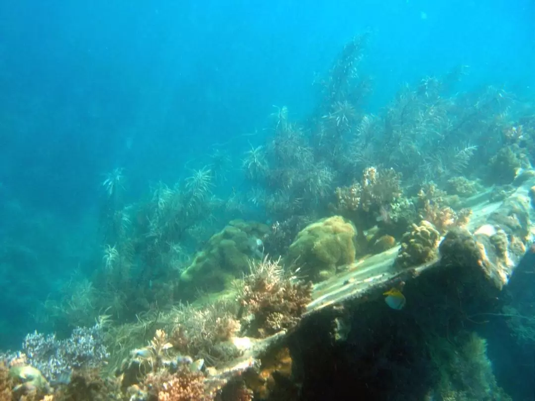 Coron Tour D Reef and Wrecks