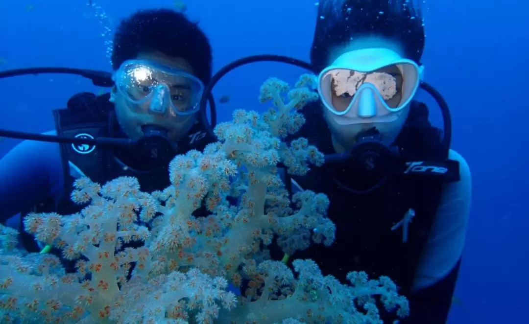 Beginner Scuba Diving Experience in Bali