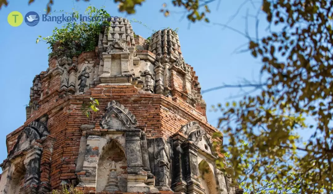 Damnoen Saduak and Ayutthaya One Day Private Tour