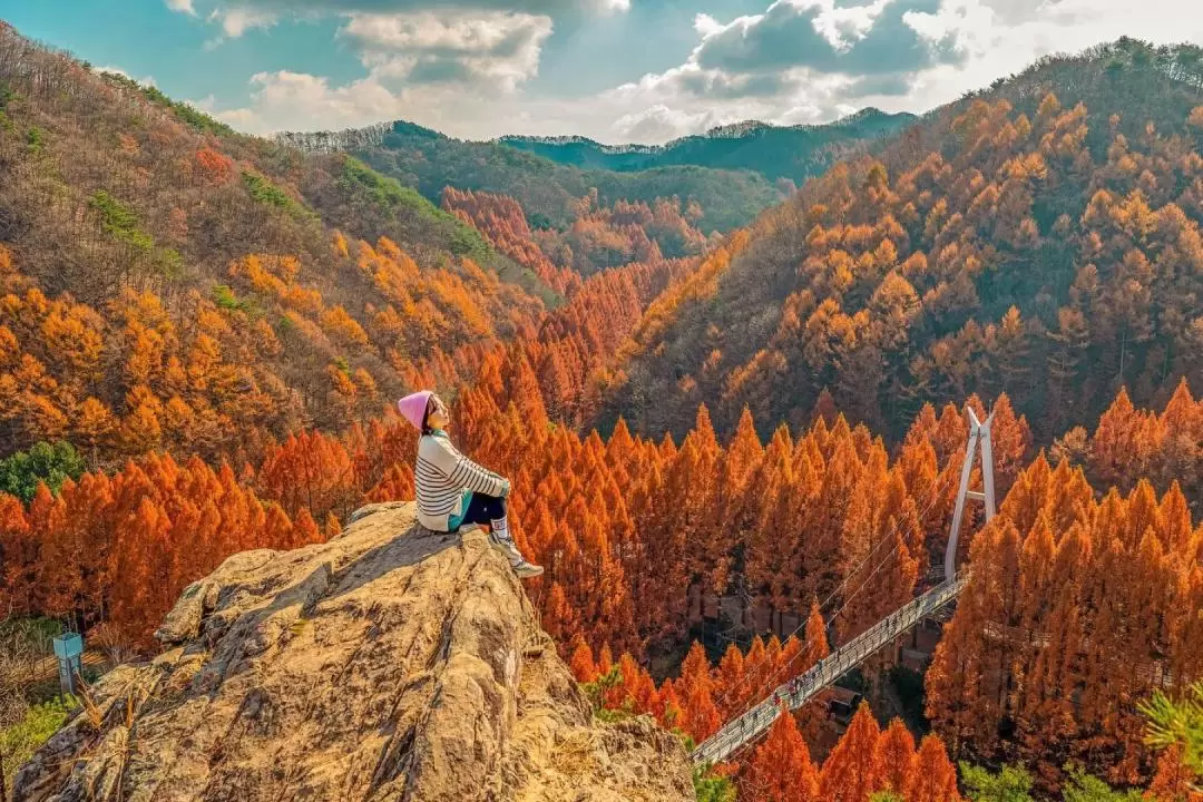 全州韓屋村 & 長泰山 & 大屯山遊覽（首爾出發）