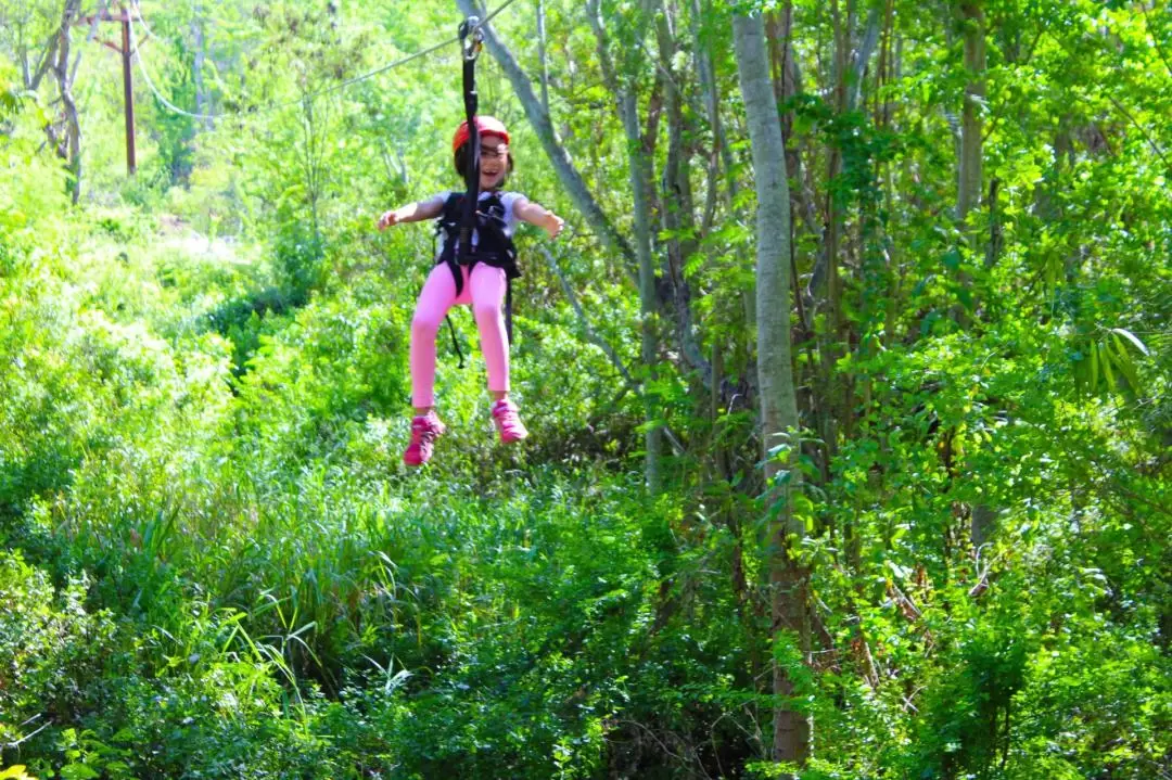 Coral Crater 6-Zipline Tour in O'ahu