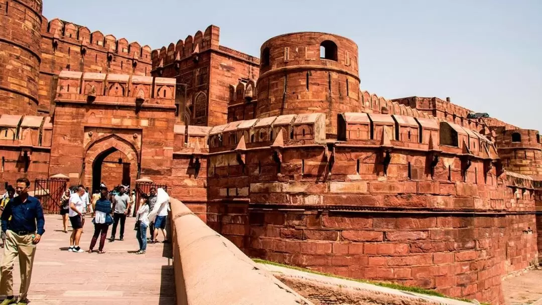 4D3N Delhi, Agra, Jaipur Private Tour with Ranthambore Tiger Safari from Delhi