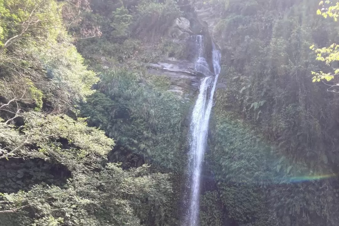 瓦拉米歩道 ハイキング体験（花蓮）