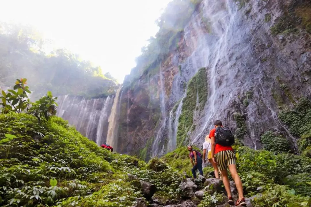 Tumpak Sewu and Goa Tetes Waterfall Trekking Experience from Malang