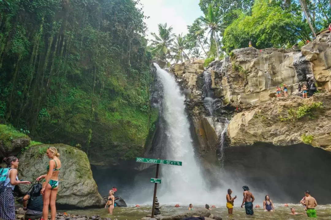 Eastern Bali's Best Waterfalls Private Day Tour in Bali