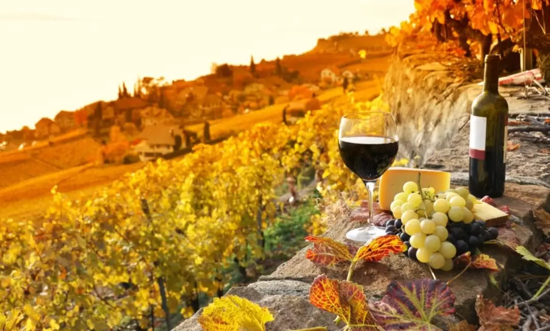 Sunset Siena and Chianti Wine Tour with Dinner from Florence