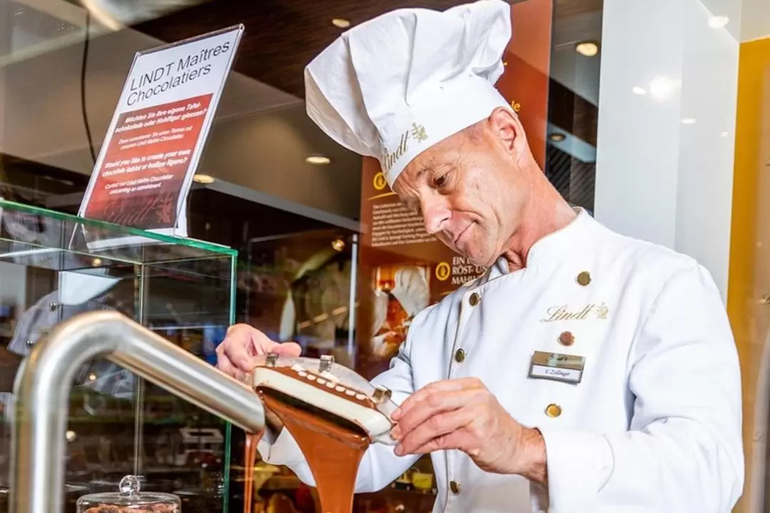 スイス交通博物館 入館チケット（ルツェルン）