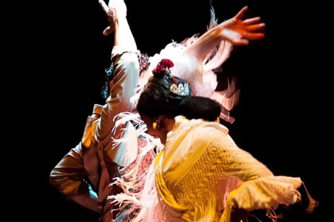 The Flamenco Show with optional Dance Museum Admission in Seville