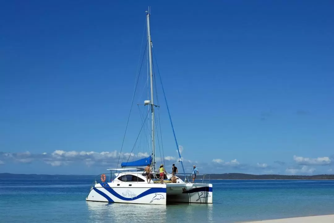 Eco Sailing and Dolphin Watching Adventure in Fraser Island