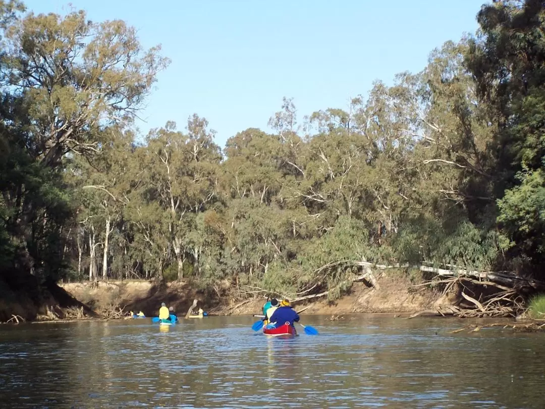 Yambuna Safari Self-Guided Canoeing Experience