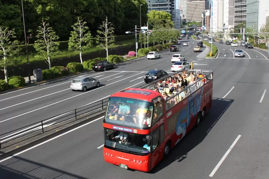 Tokyo Hop-On Hop-off sightseeing bus by Skyhop Bus