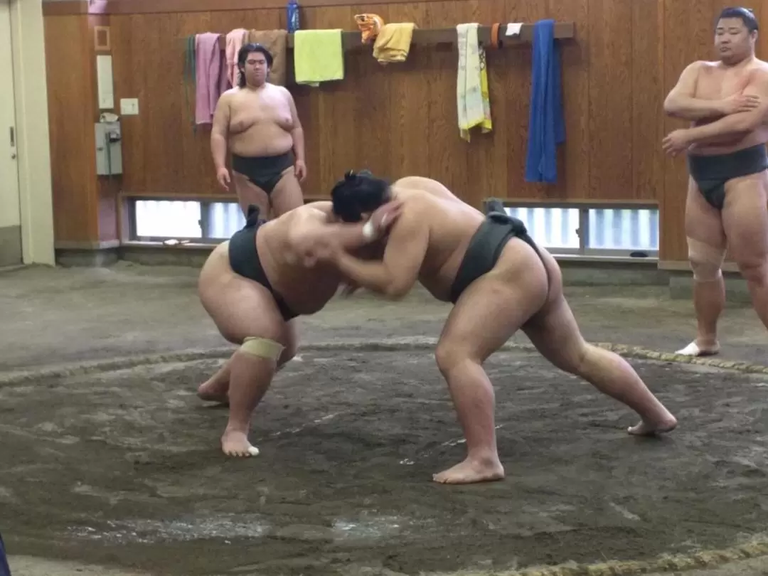 Sumo Morning Training Visit