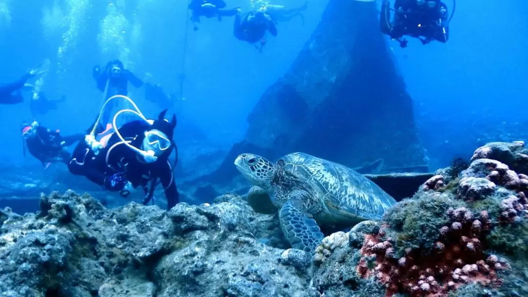 東北角潛水｜鬧潛水 Now Diving｜體驗潛水・Fun Dive・潛水考照課程