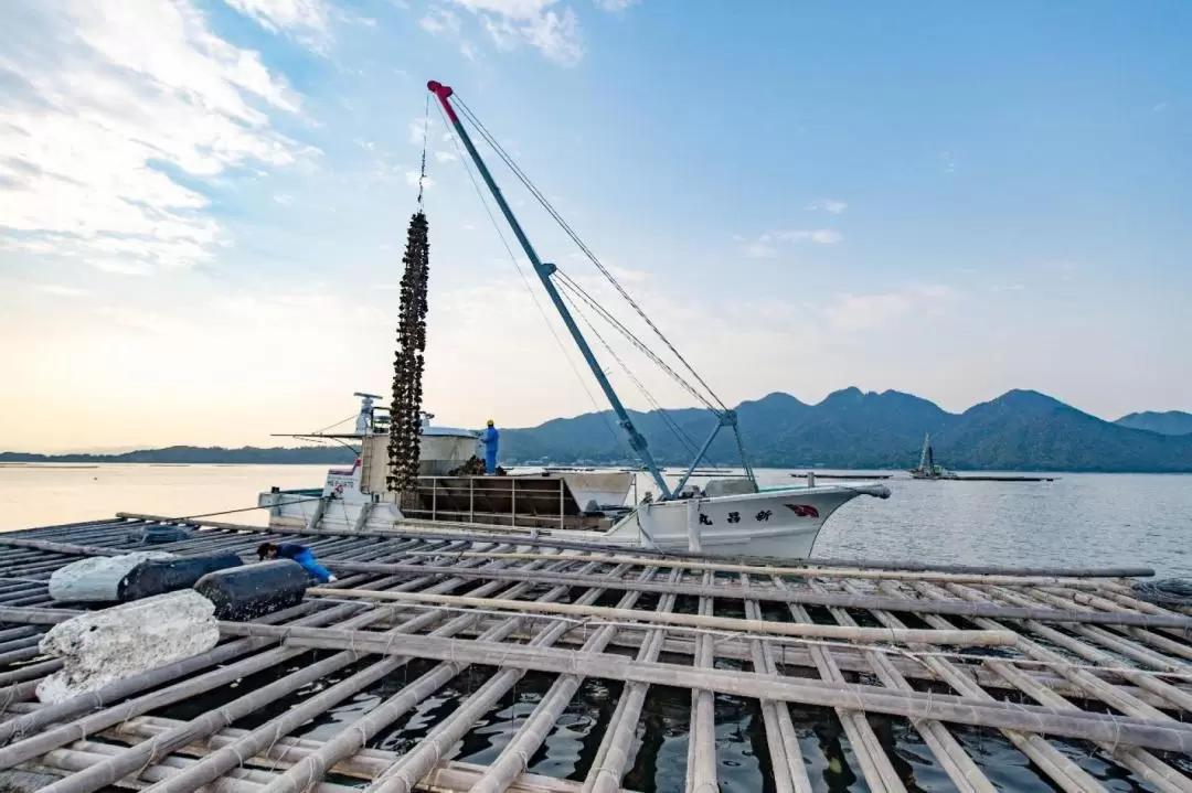 Oyster Farm Experience with Visit to Itsukushima Shrine in Hiroshima