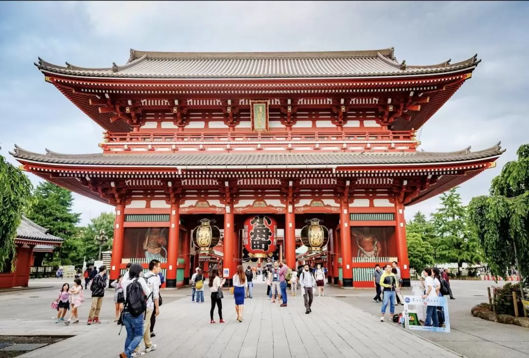 Tokyo, Japan | One-day tour by chartered car