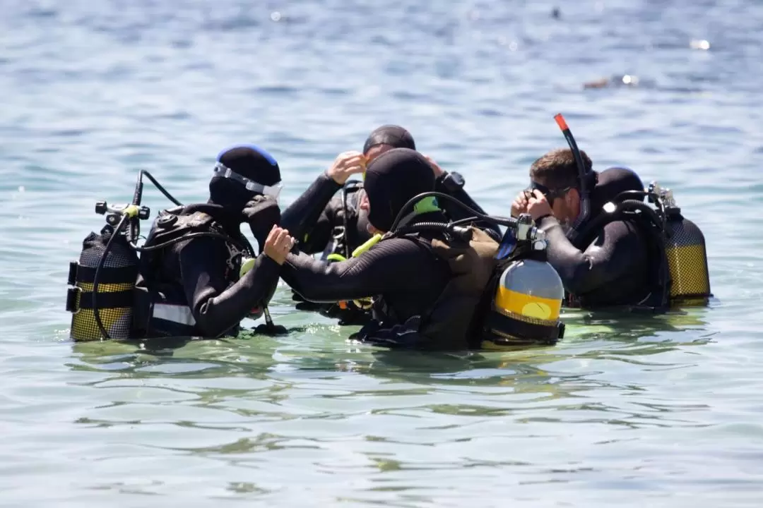 PADI Open Water Diving Course in Dubai 