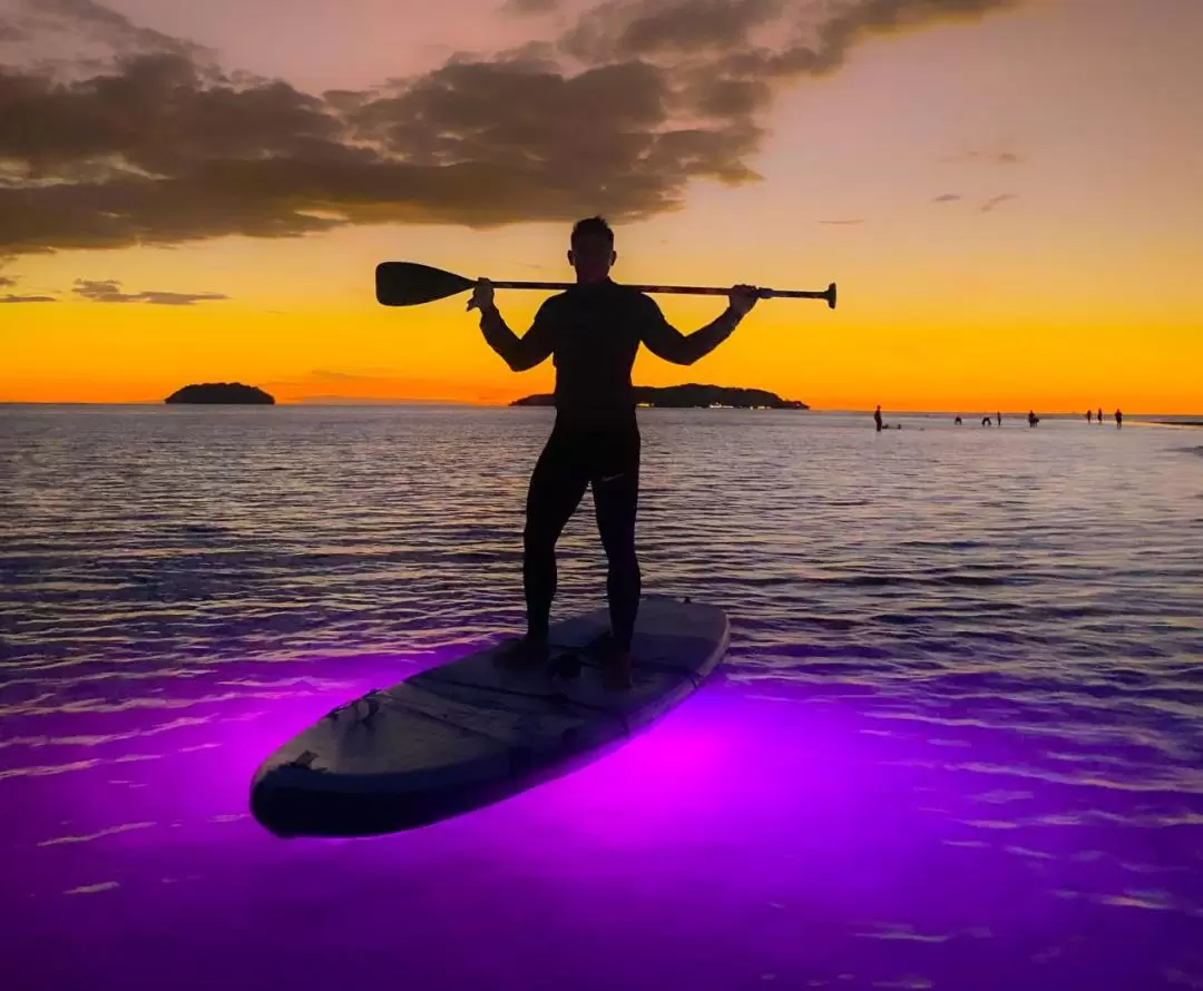 Night Glow Stand Up Paddle Experience in Kota Kinabalu