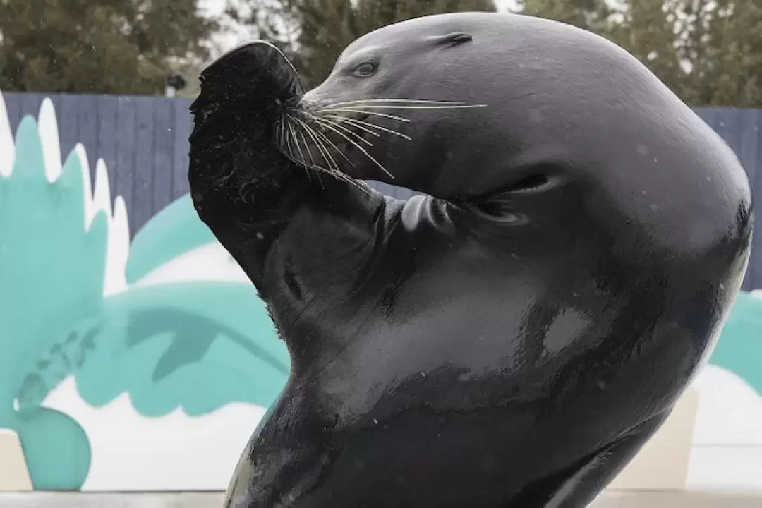 紐約水族館門票