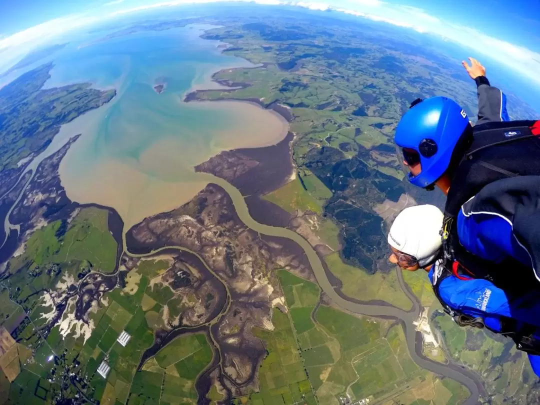 Auckland Tandem Skydive & Gannet Colony Full Day Private Tour