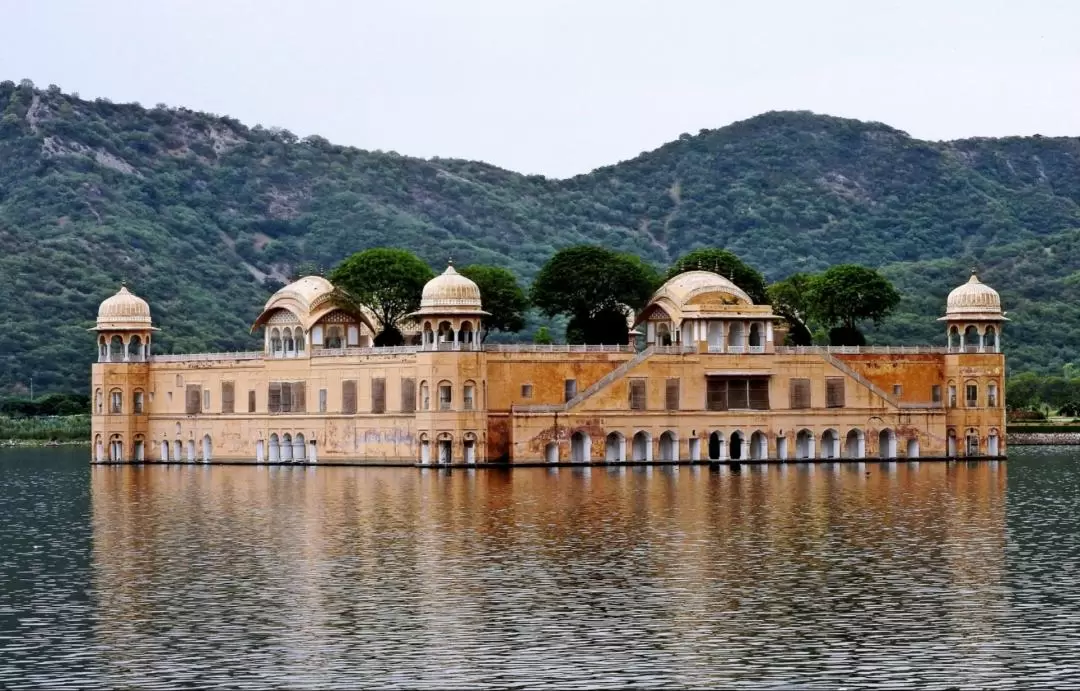 Jaipur Private Day Tour from Delhi