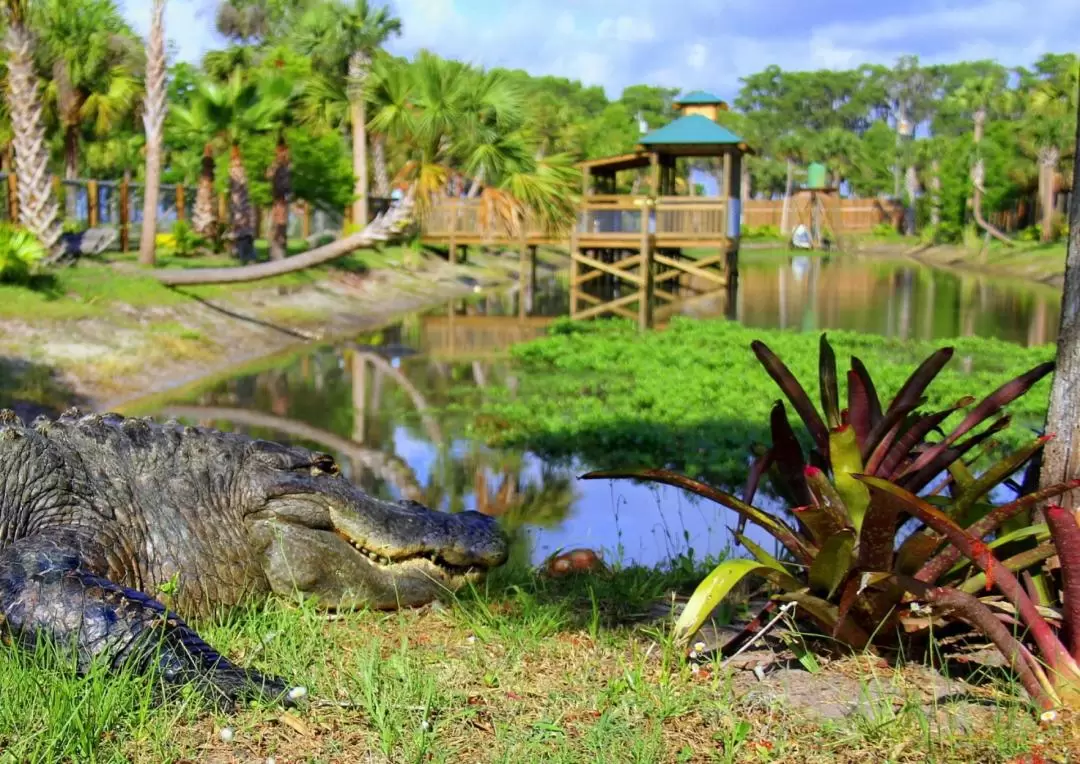 佛羅里達州Wild Florida野生動物園門票