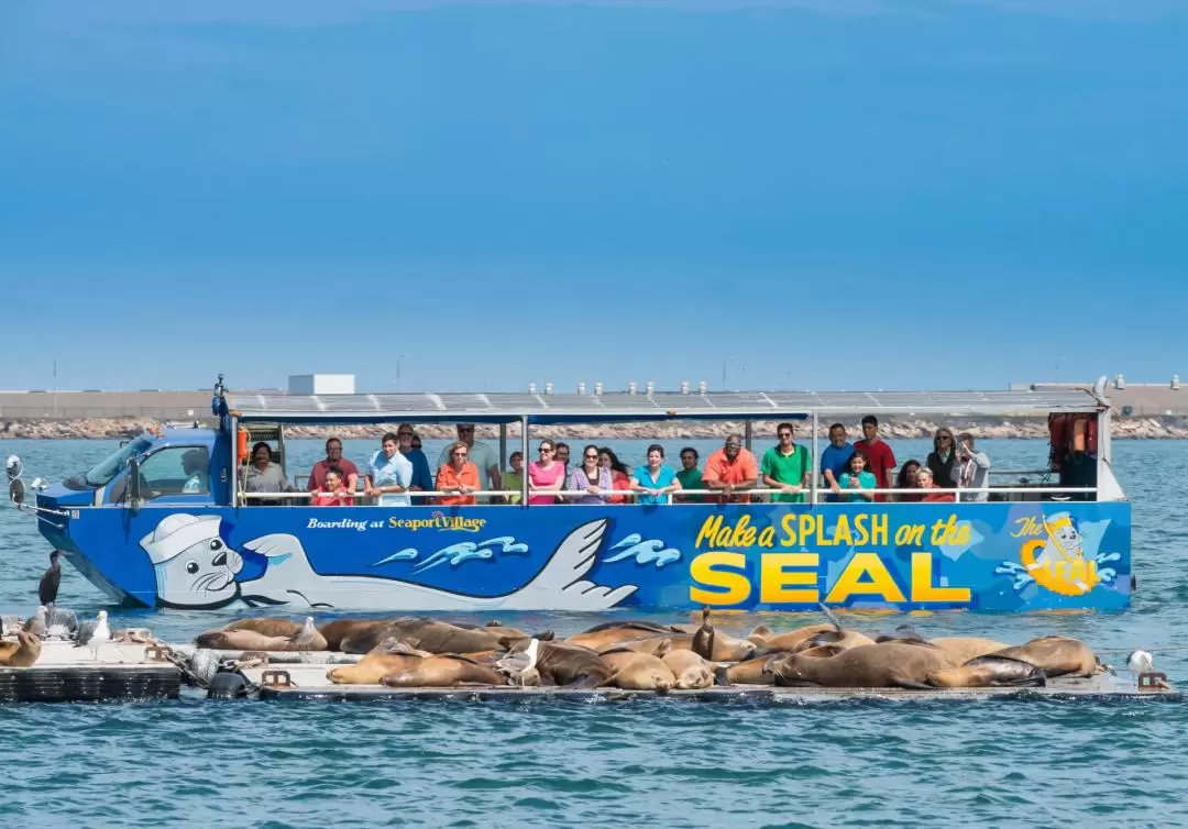 聖地亞哥海陸兩棲海豹巴士之旅