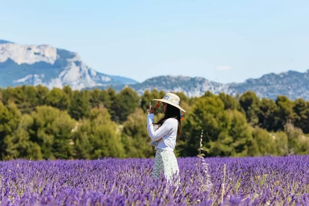 Verdon Gorge and Lavender Fields Day Tour from Nice