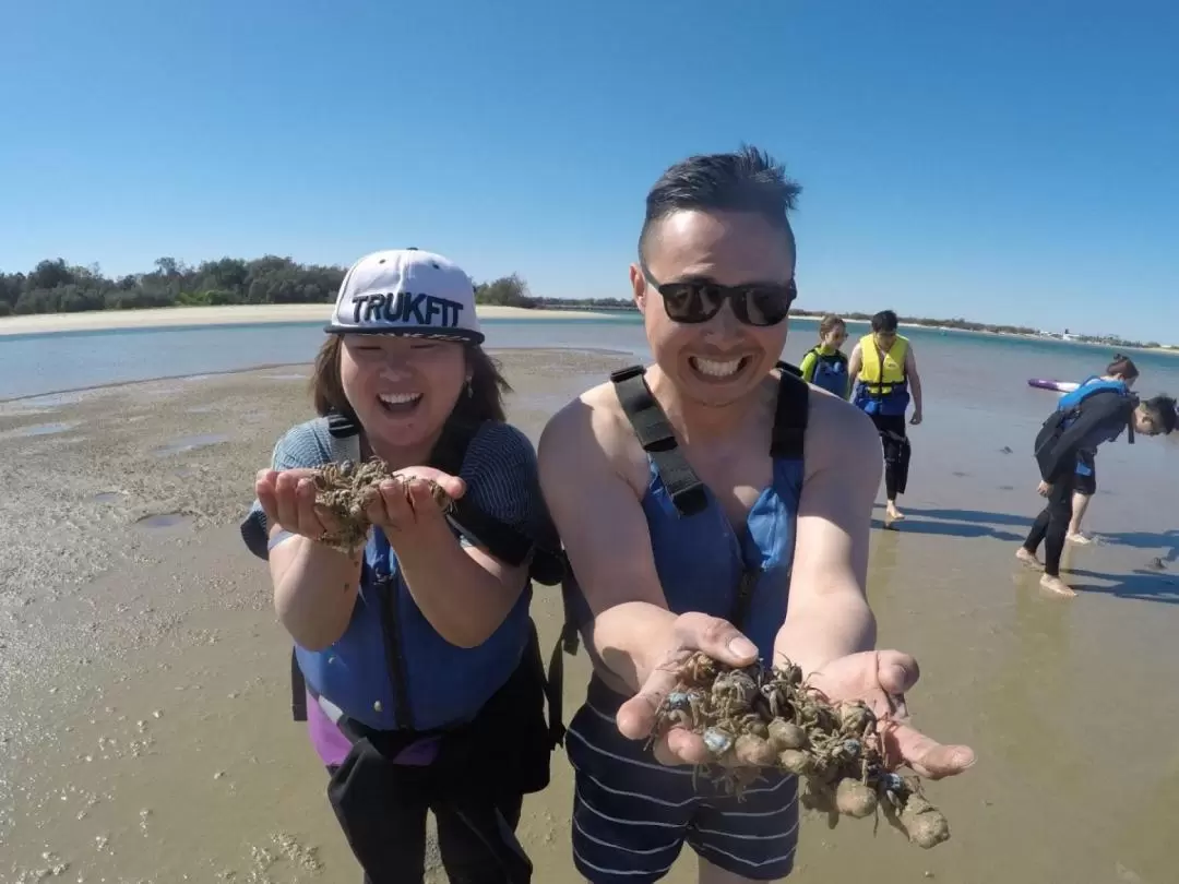 Dolphin Kayaking & Snorkeling Guided Tour in Gold Coast