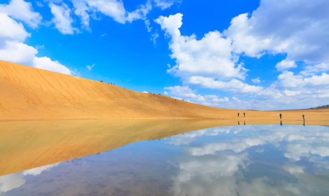 Uratomi Coast Cruise, Tottori Sand Dunes & Sand Museum Day Tour from Osaka