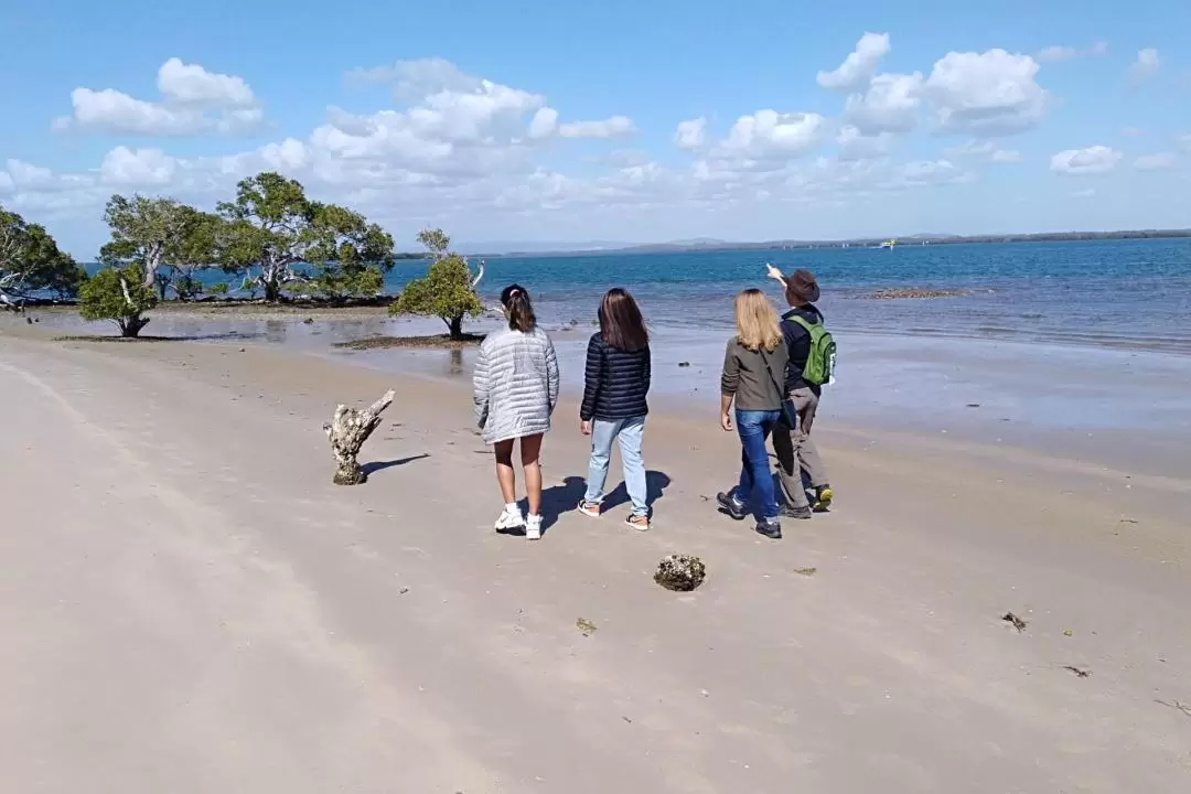 サザンモートンベイ諸島 日帰り島めぐりツアー