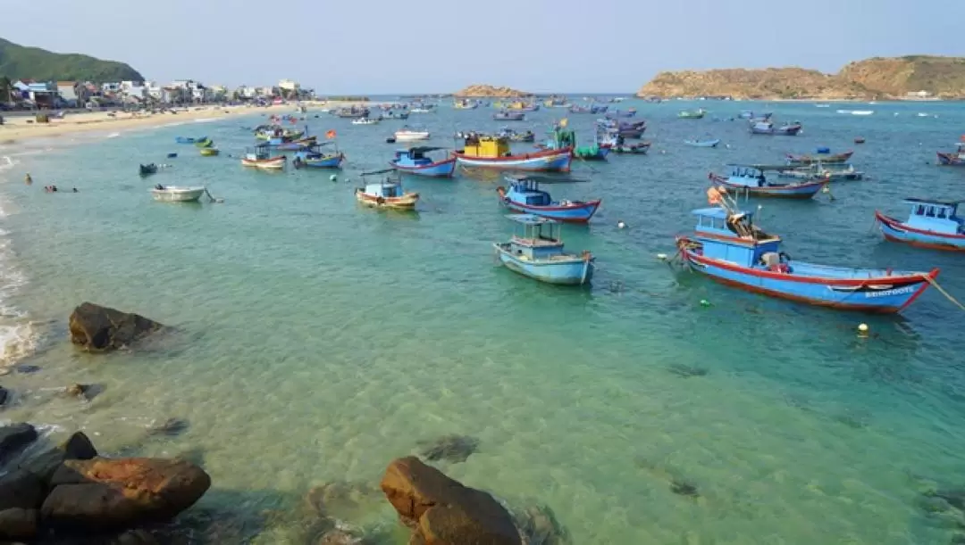 Hon Kho Island Snorkeling Day Tour From Quy Nhon with Vietnamese Speaking Guide