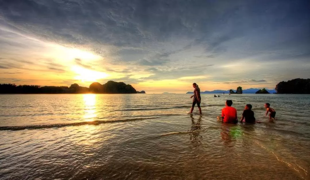 Tanjung Rhu Mangrove Tour with Lunch and Transfers in Langkawi