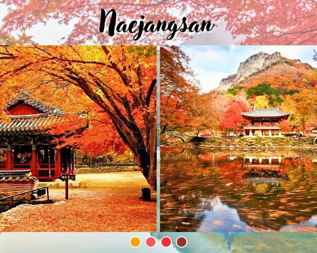 Naejangsan National Park - Autumn Maple One Day Tour from Seoul 