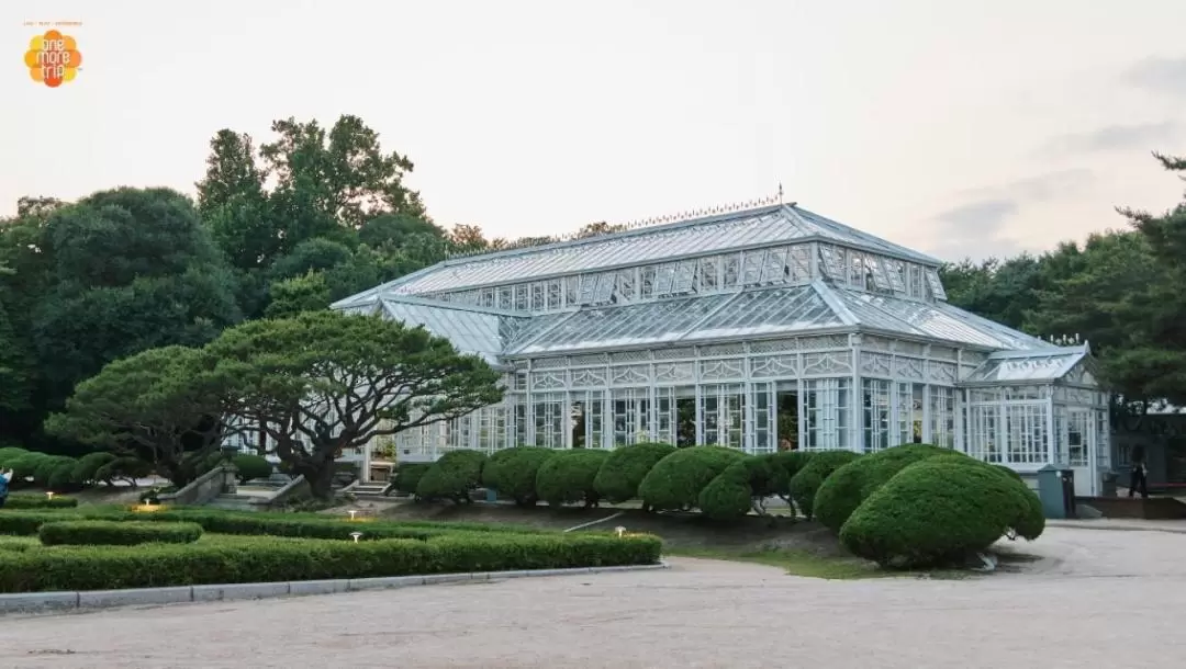 Quaint Changgyeonggung Palace Night Tour