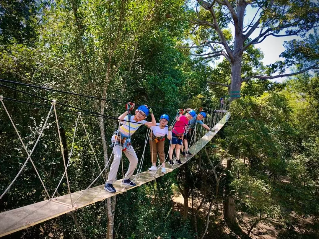 Zipline Experience in Hua Hin by Tree Top Adventure Park