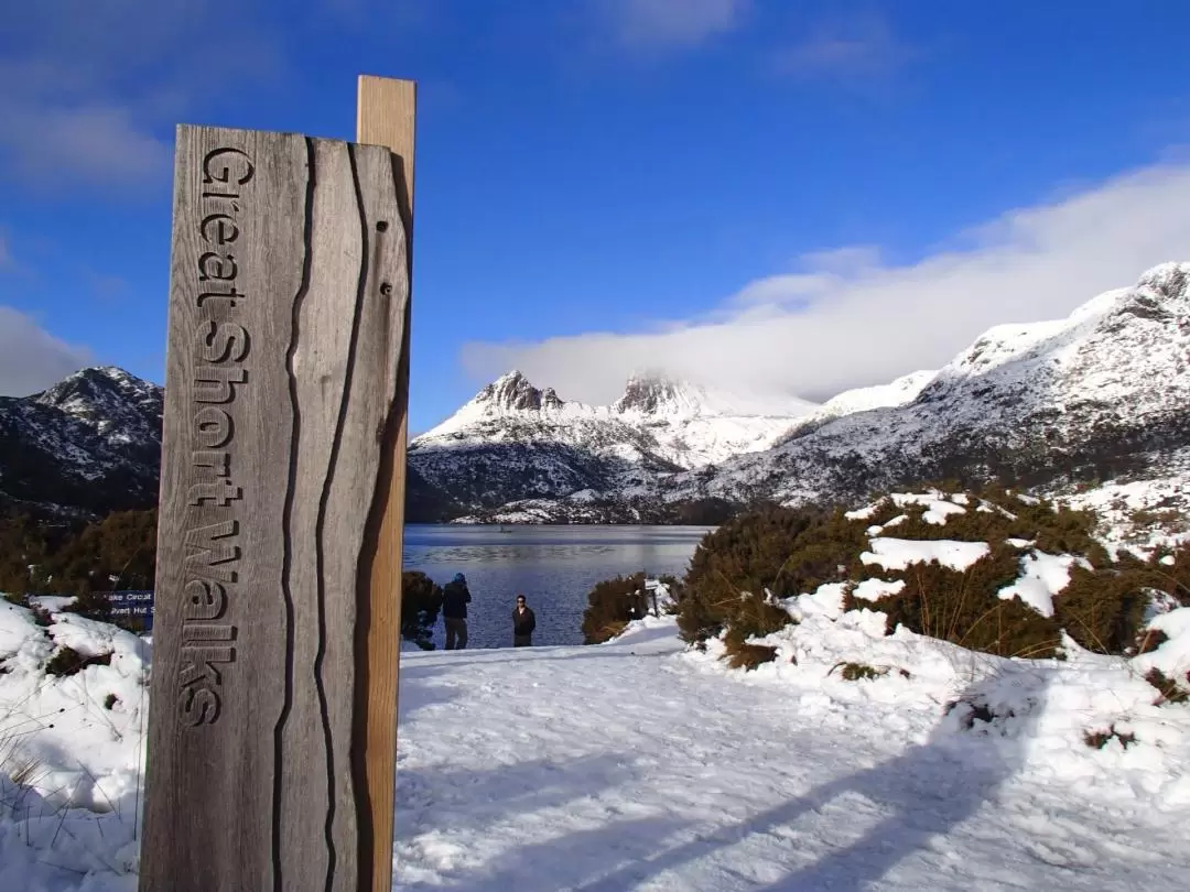 Cradle Mountain World Heritage Explorer Day Trip from Launceston