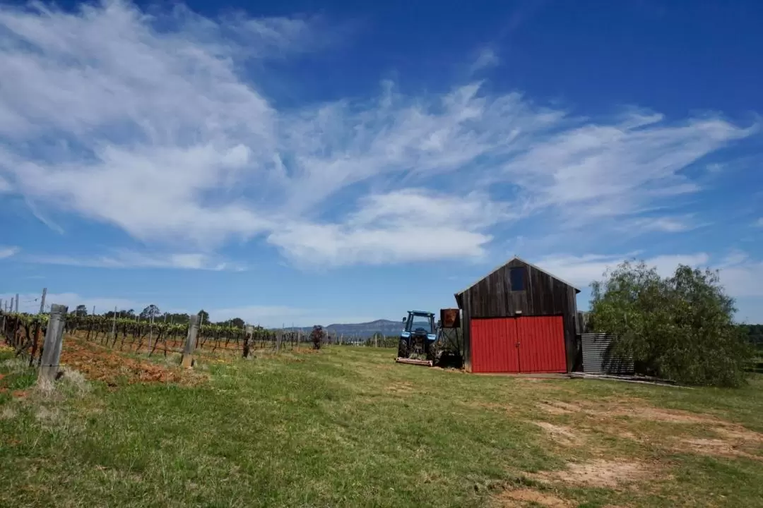 Red Door Collective Wine Tasting in Hunter Valley (Adults Only)