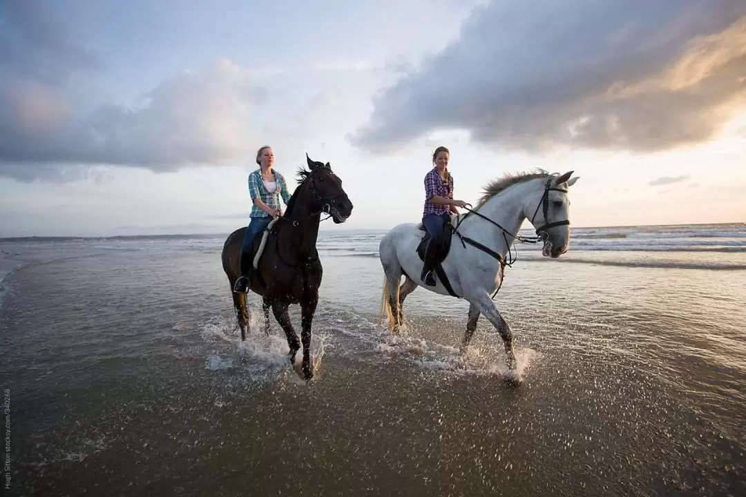 Horse Riding Combo Experience in Bali