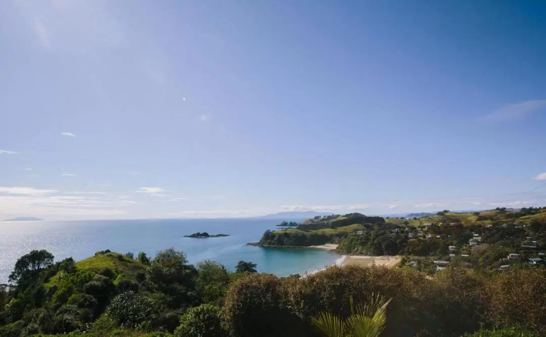 Waiheke Island Ferry from Auckland + Optional Hop On Hop Off Bus