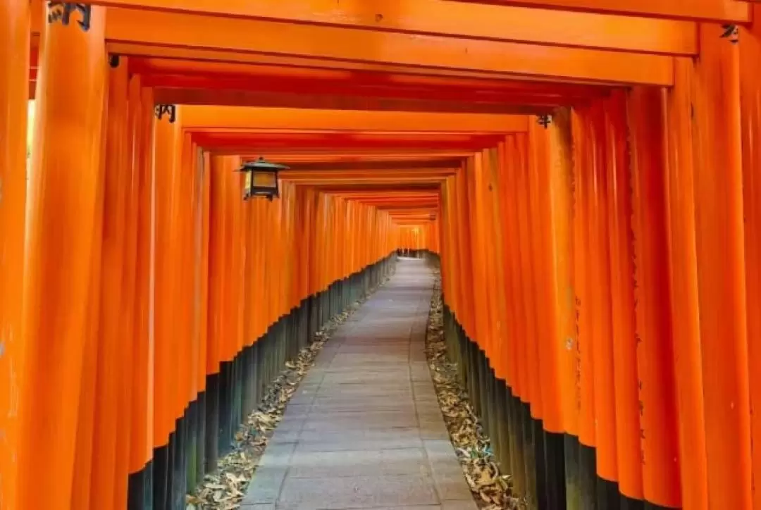 90Minute Fushimi Inari Shrine Walking Guided Tour in Kyoto