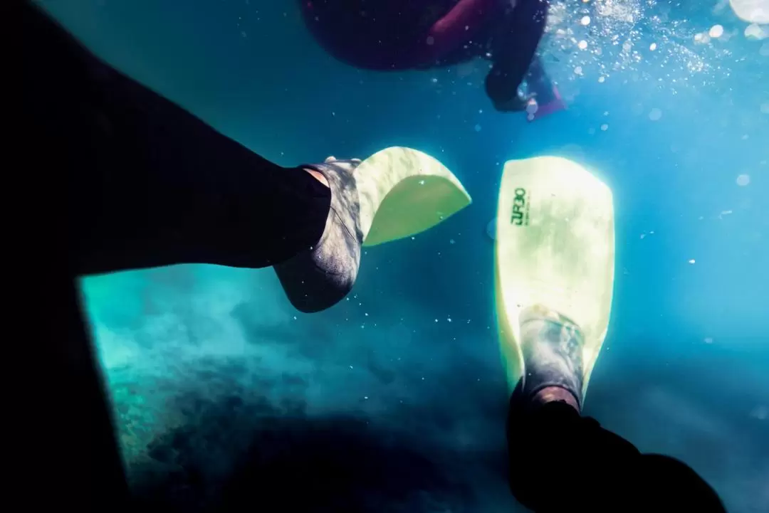 Snorkel Experience in Whitsundays