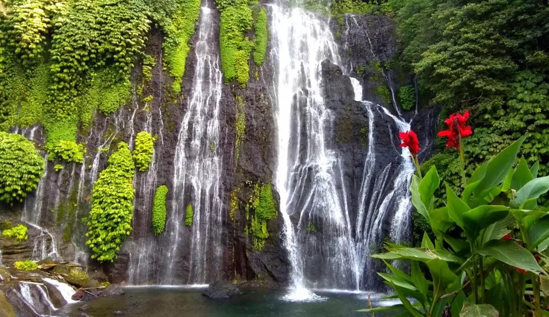 Bali Hidden Waterfalls Trip