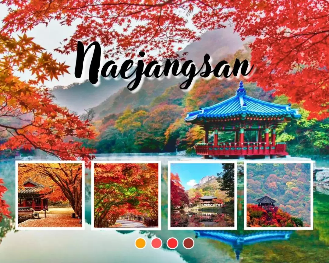 Naejangsan National Park - Autumn Maple One Day Tour from Seoul 