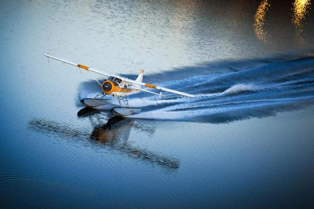 Golden Gate Bridge Seaplane Tour in San Francisco