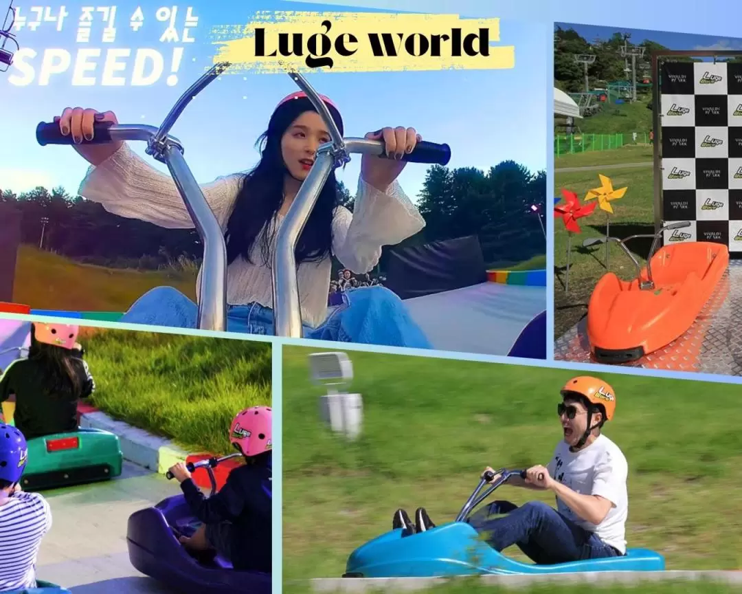 Railbike / Luge Racing Car / Alpaca World / Legoland One Day Tour