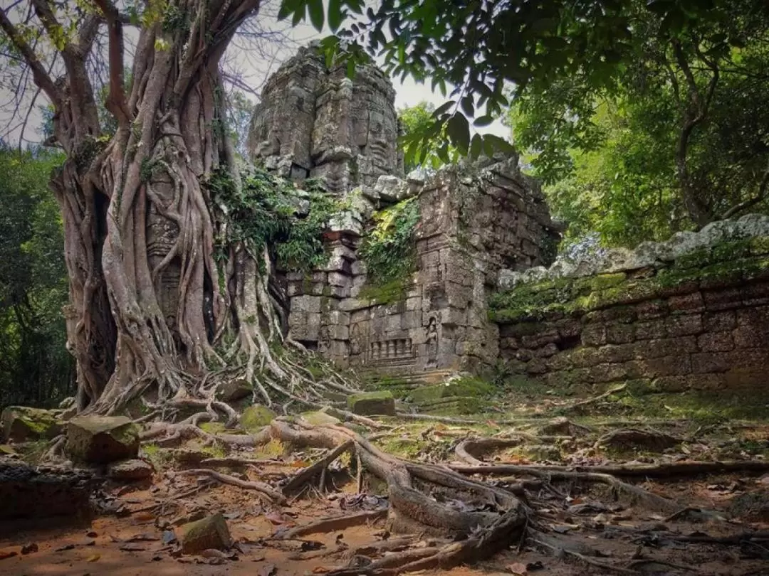 Big Circle of Angkor Acheological Park Private Tour