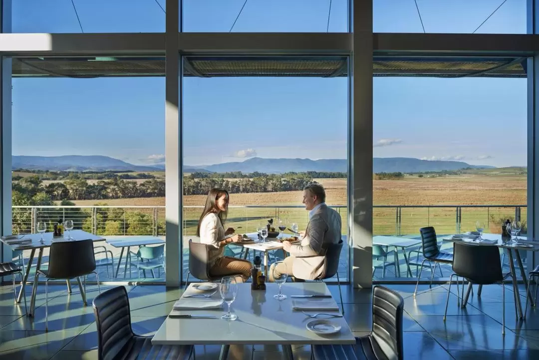 Yarra Valley Wildlife, Wine & Food Day Tour