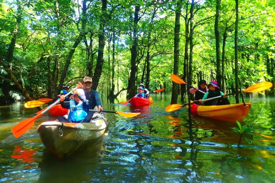 Iriomote Island Splash Canyoning and SUP or Canoe at Mangrove Forest 