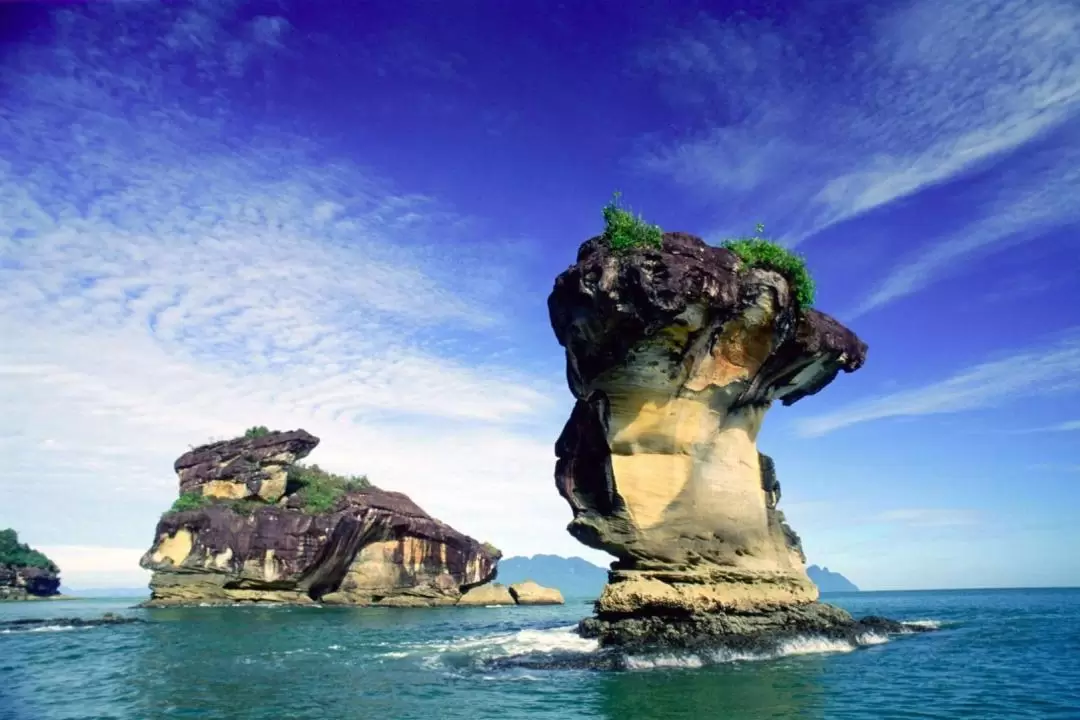 Bako National Park with Sea Stack Formation Day Tour in Kuching